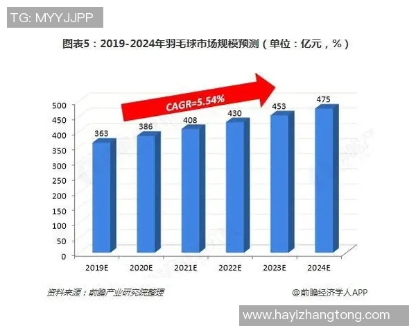 杭州乒乓球队耐力表现的数据分析与训练策略探讨